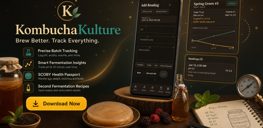 KombuchaKulture promotional banner with app screens